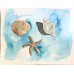 Seashells — Original Watercolor Painting by Marina Stognieva | Crimea Seashells — Original Watercolor Painting by Marina Stognieva | Crimea
